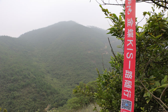 不负好时光，金蝶KIS一路随行-登高明茶山赏美景 品美味茶山鸡！